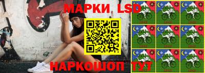 гидропоника Можга