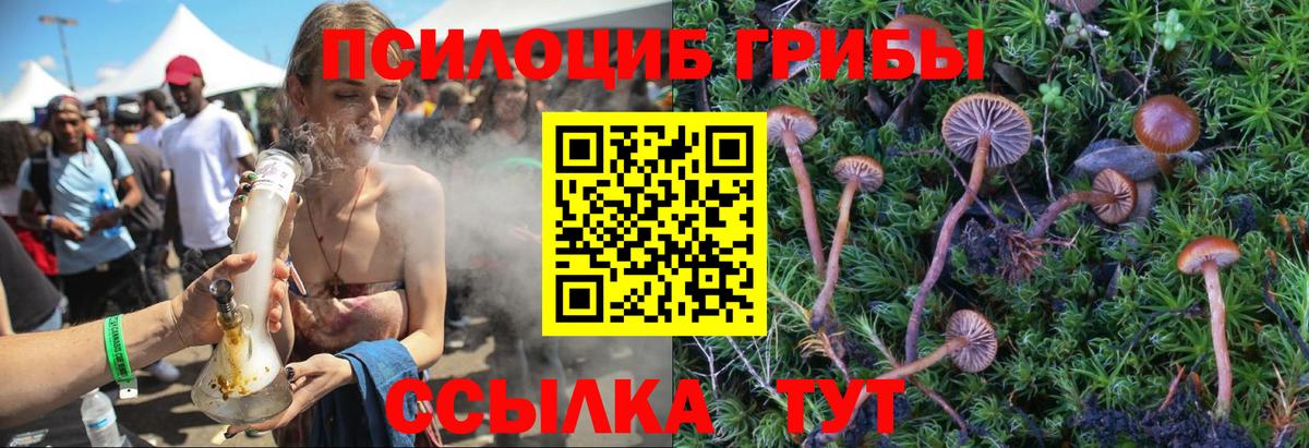 Псилоцибиновые грибы мухоморы Чехов